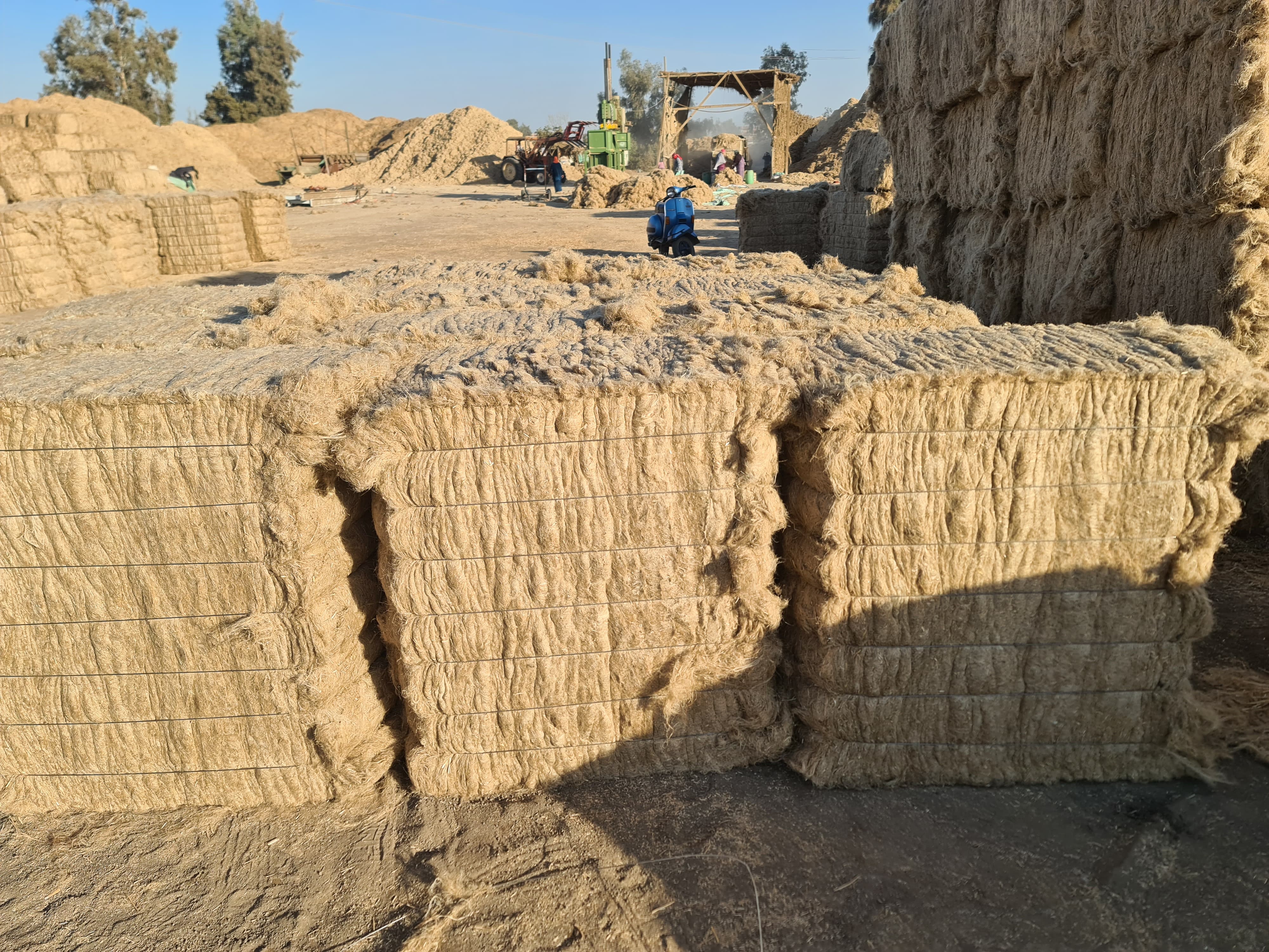 Egyptian flax tow short flax fiber